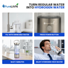 PureLivn Hydrogen Water Bottle 14 oz / 420 ml Capacity